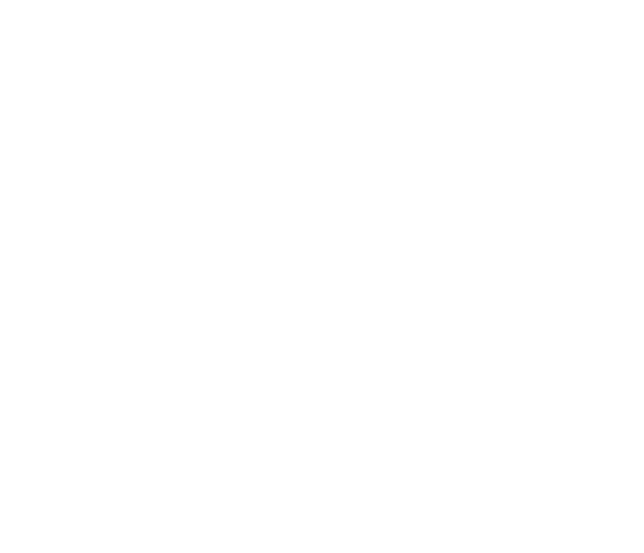 MOBIPLUS Logo white